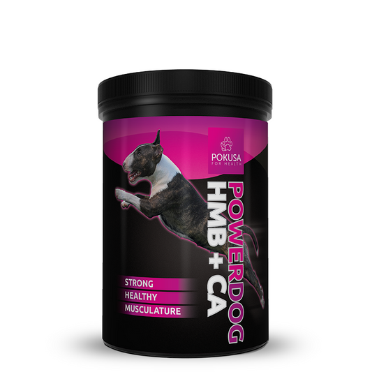 Power Dog HMB+CA 250г - за спортни и работни кучета, за възстановяващи се кучета, увеличава мускулната маса